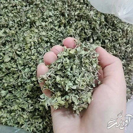 خواص کاکوتی 